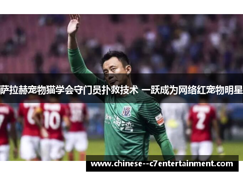 萨拉赫宠物猫学会守门员扑救技术 一跃成为网络红宠物明星