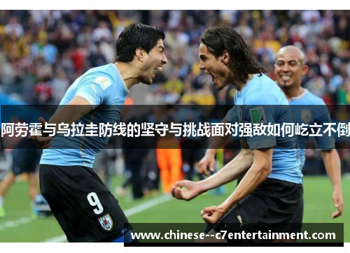 阿劳霍与乌拉圭防线的坚守与挑战面对强敌如何屹立不倒